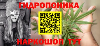 сатива Гай