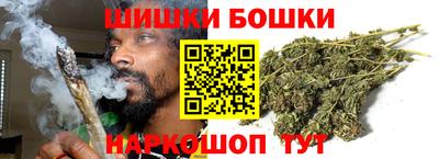 a pvp Гатчина