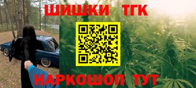 сатива Гай
