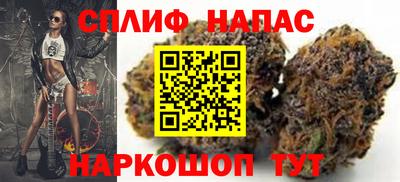 сатива Гай