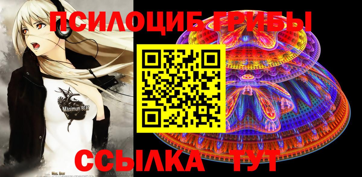 Семёнов  Галлюциногенные грибы Psilocybe  Вход с VPN 